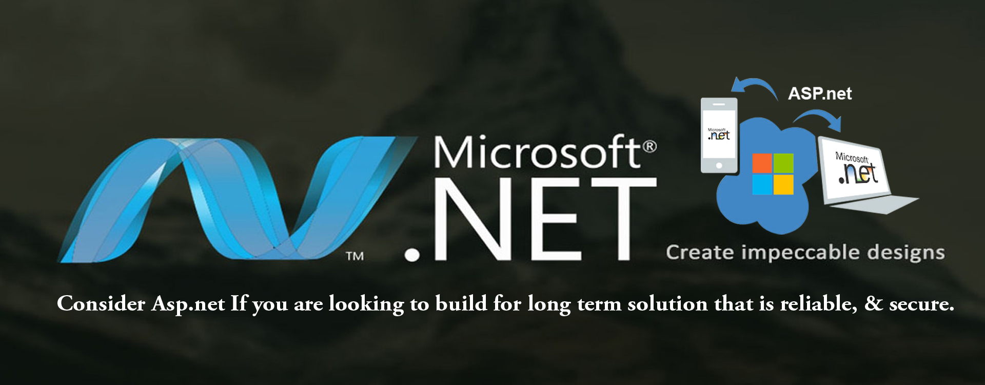 ASP.NET Development Services