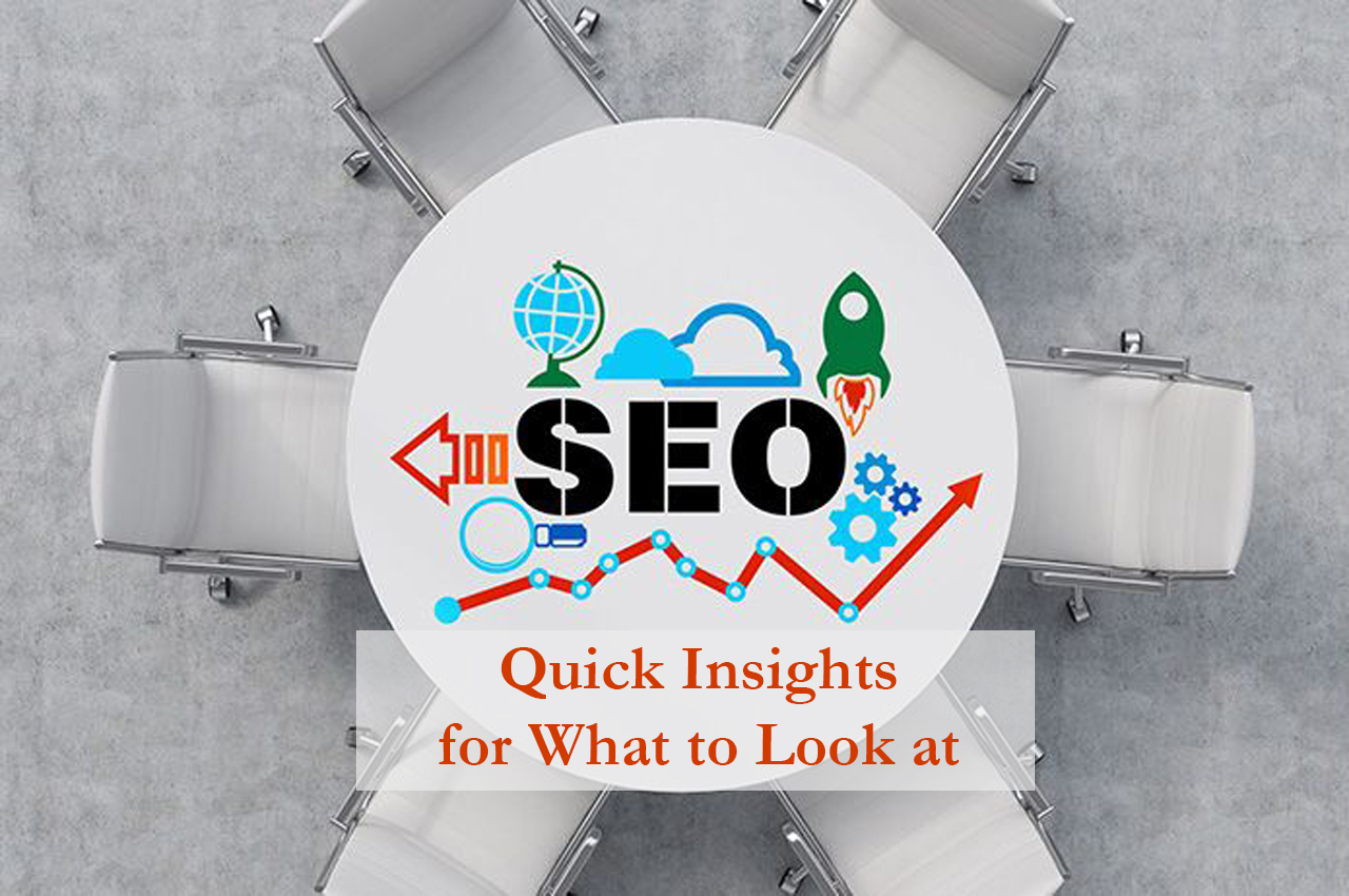 seo-services-quick-insights-for-what-to-look-at